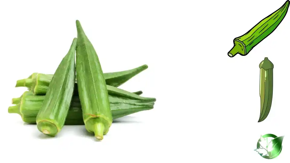 Wholesale packaging for Frozen Okra can be planned for shop-floor sales, hospitality supply, store-brand, or industrial distribution.